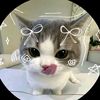 picchi___mim