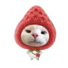 adibaa.kzxwj