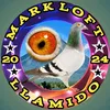 mark.john.de.vera6