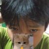 juki_ruok