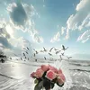 hoaithu12j