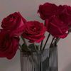 amina.alsiki