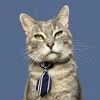 clawdius.furrbottom