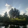 dtxx_alex