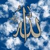 user85834575791614