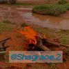 shagraoe.2