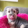 katharina.dorn0