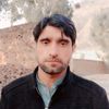 shaheenafridi3462