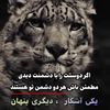 arash.tanha83