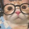 catiezchvs302