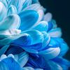 someone_you2811