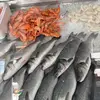 poissonnerie.tange