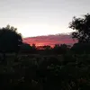 francisco.roberva71