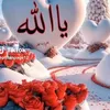 user3196138007800