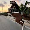 mahmoud.najjari3