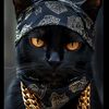 migo.migo578