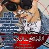 mohd.zaki834