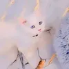 selaa_024