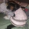 liliana.stopler