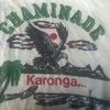 brightmanda63