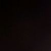 doni033799