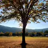 lisagtravels_sometimes