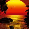 hany.saad225