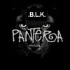 b.l.k.1985