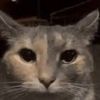 kingzero15yt