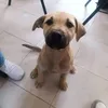 manntvxjmhb
