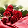 mansouri.sanaa1