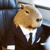 capybara.in.a.suit.again