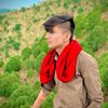 mamir.jani