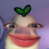 praphdualzy