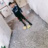 گل احمد
