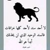 user3786854275186