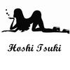 hoshitsuki.id