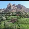 nur.nali