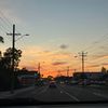 amelia_layne37
