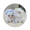 naaaaa_nduttttt321