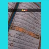 user5254368737303