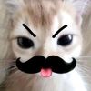 dynn_creww