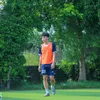 minhvu17.11