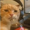 cottagecheese670