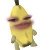 ploy69239