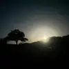 cr7471675