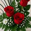 tanham499