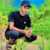 anwaarwattoo937
