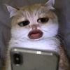 npiee33
