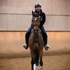 showjumper_chayennez_